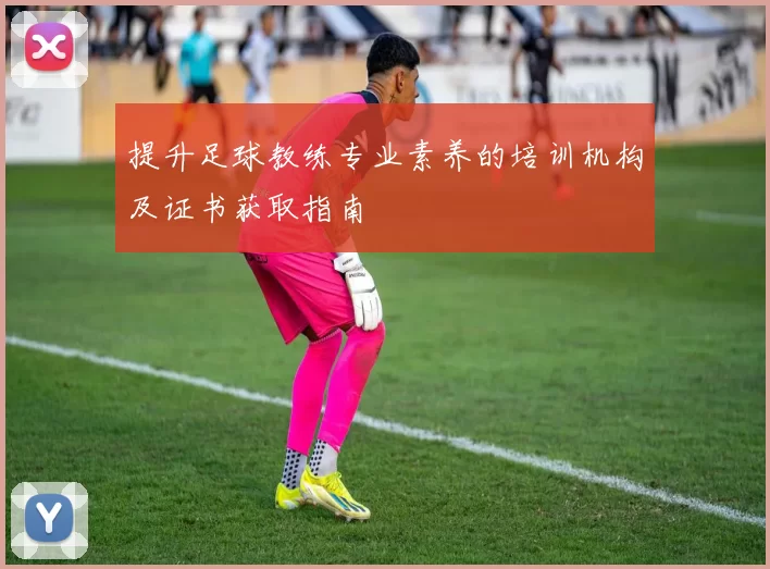 提升足球教练专业素养的培训机构及证书获取指南