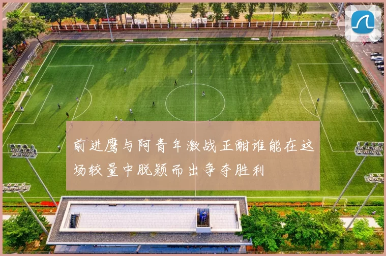 前进鹰与阿青年激战正酣谁能在这场较量中脱颖而出争夺胜利